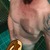 SwissFcker avatar