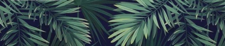 SwissFrenchBoy cover image