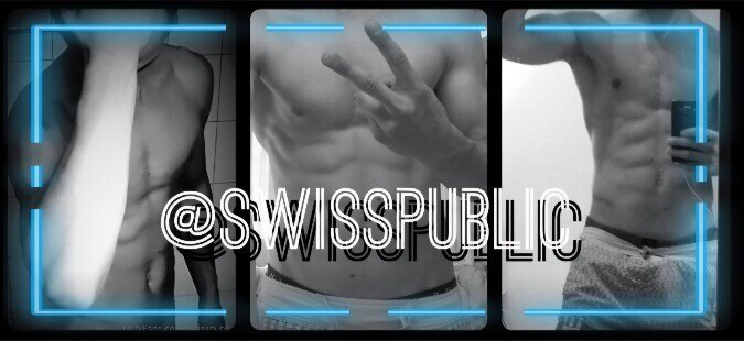 Public Swiss banner image