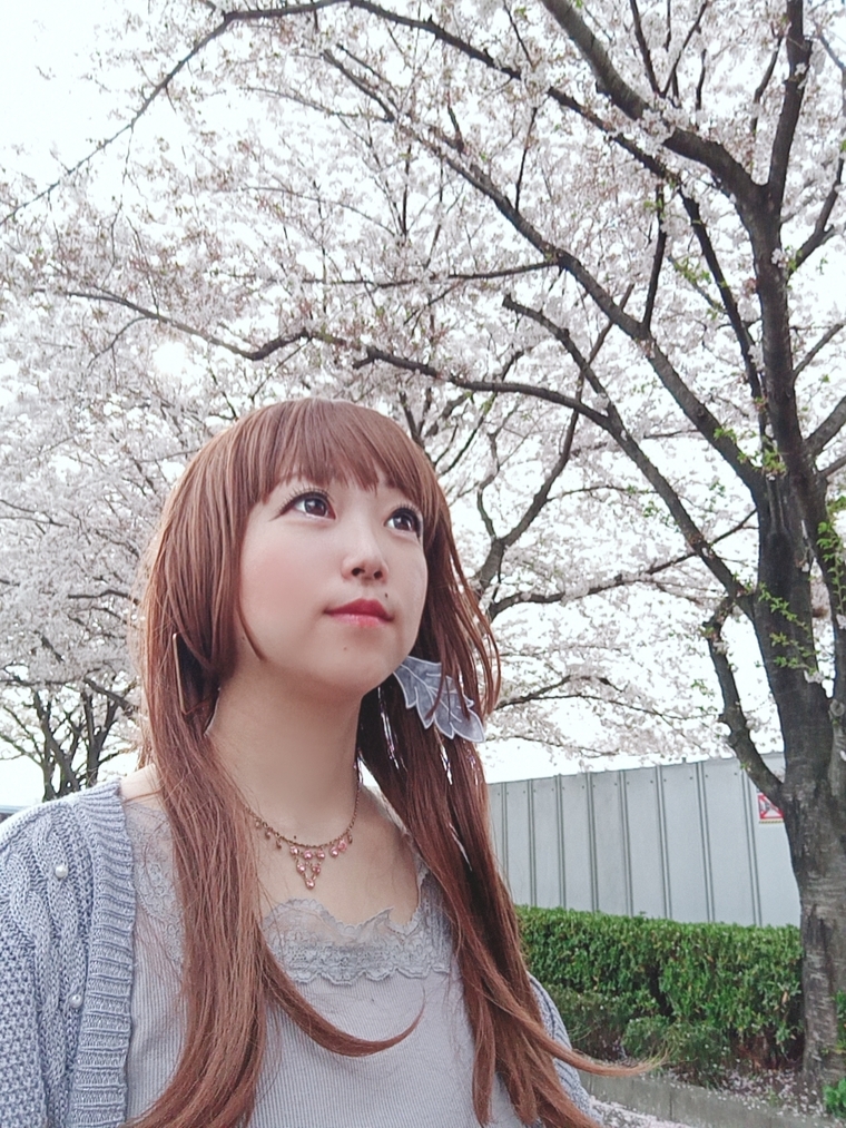 💕しゃみゅ@syamyu💕 cover image