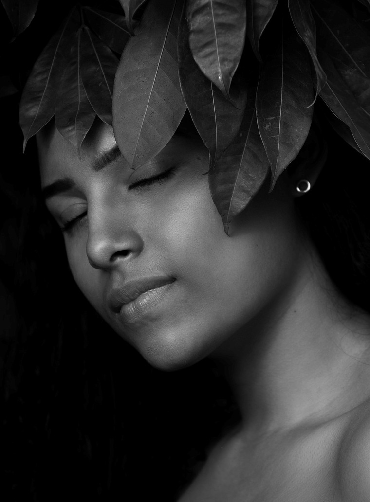 Syleta banner image
