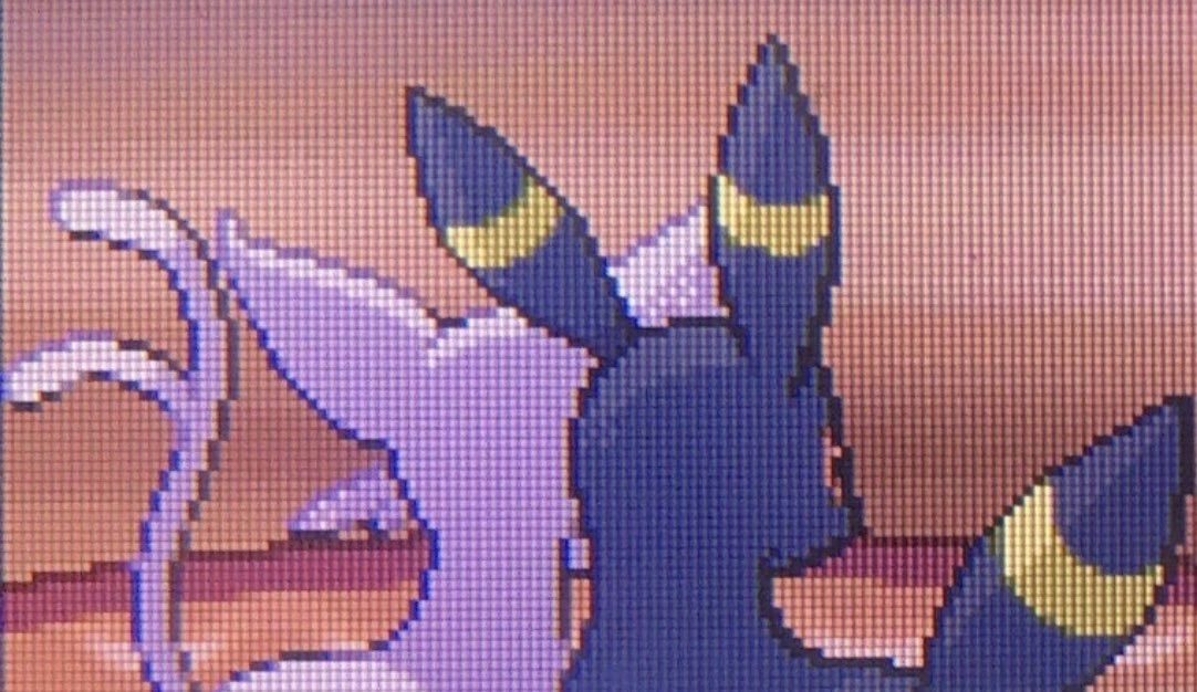 sylviee banner image