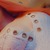 Syn avatar