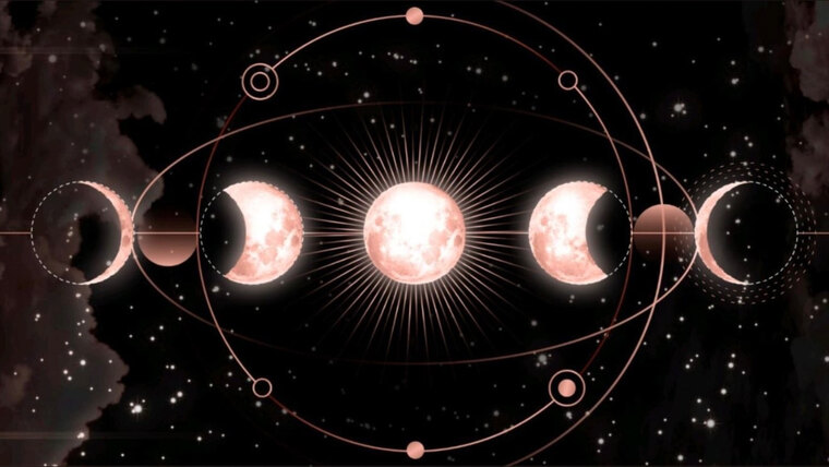 Synstress Lily banner image