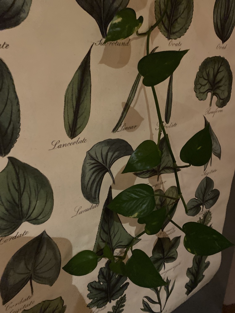 Sam Biriukov cover image