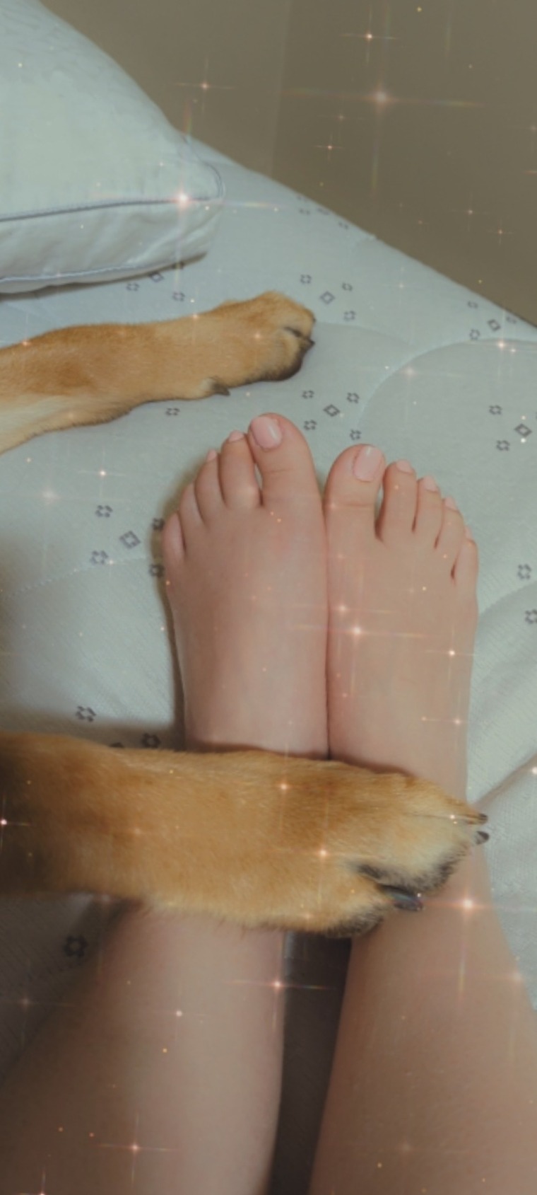 Tay cover image