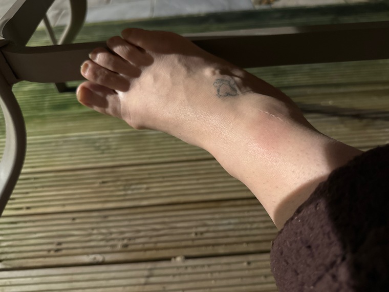 Tippy toes banner image