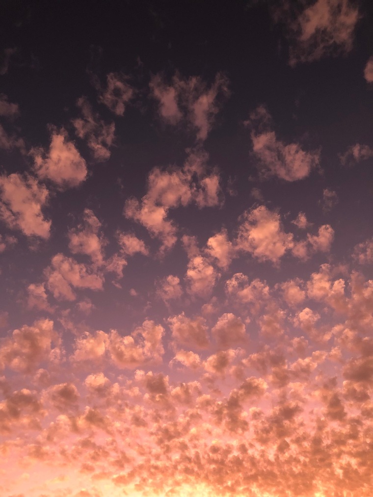 talenaphotography cover image