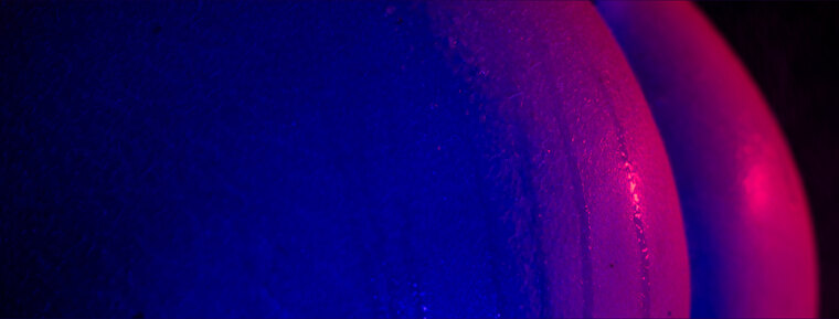 Talia.daisy banner image