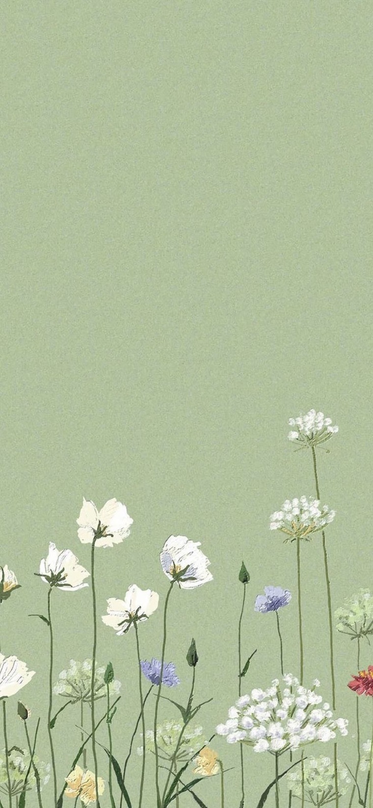 Tallie Dee cover image