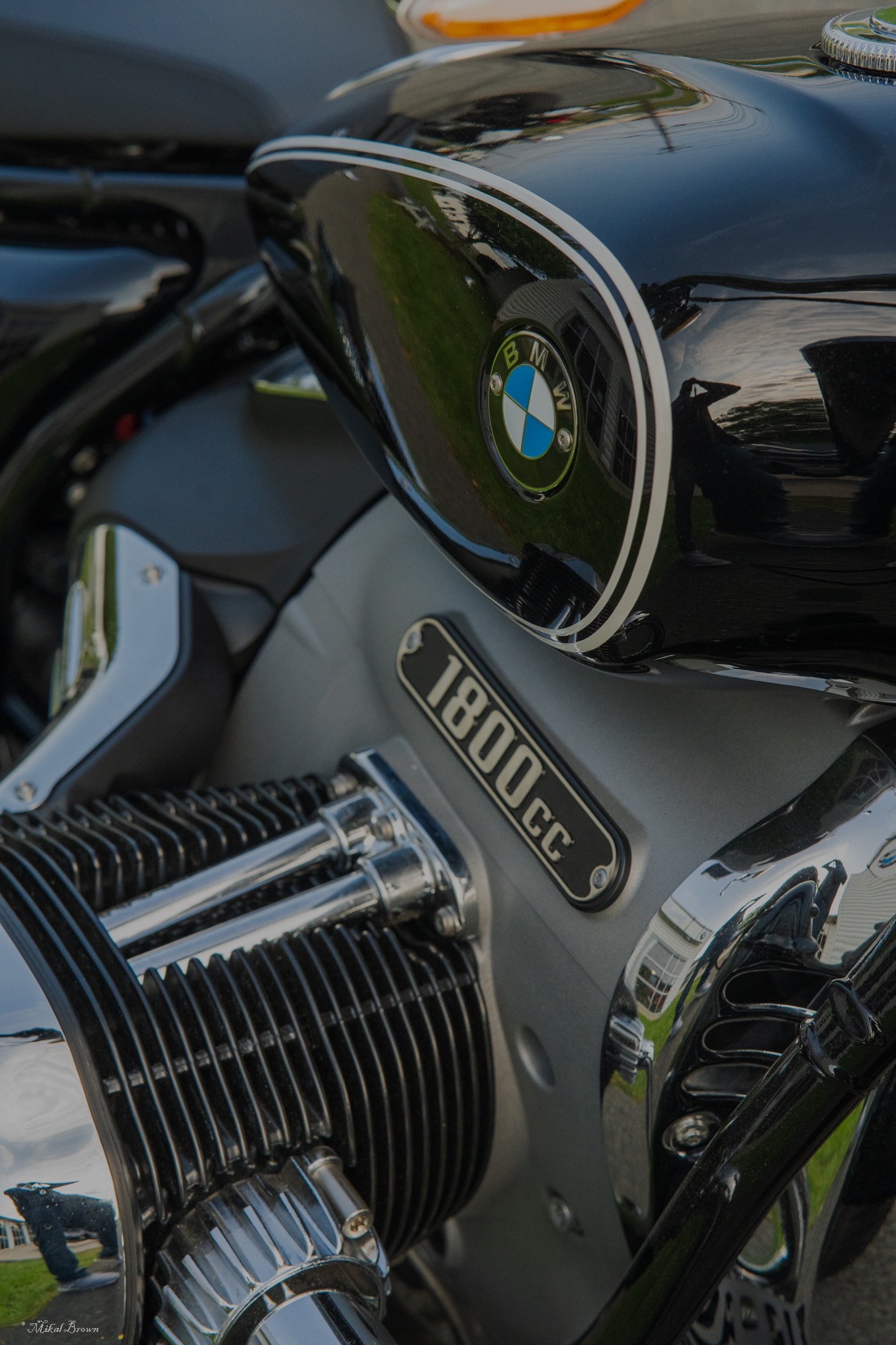 Wilson banner image