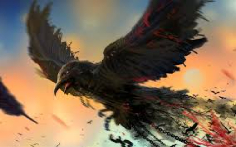 Talon cover image