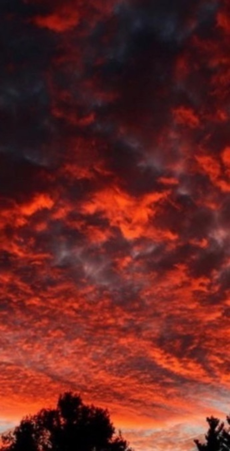 Wayne banner image