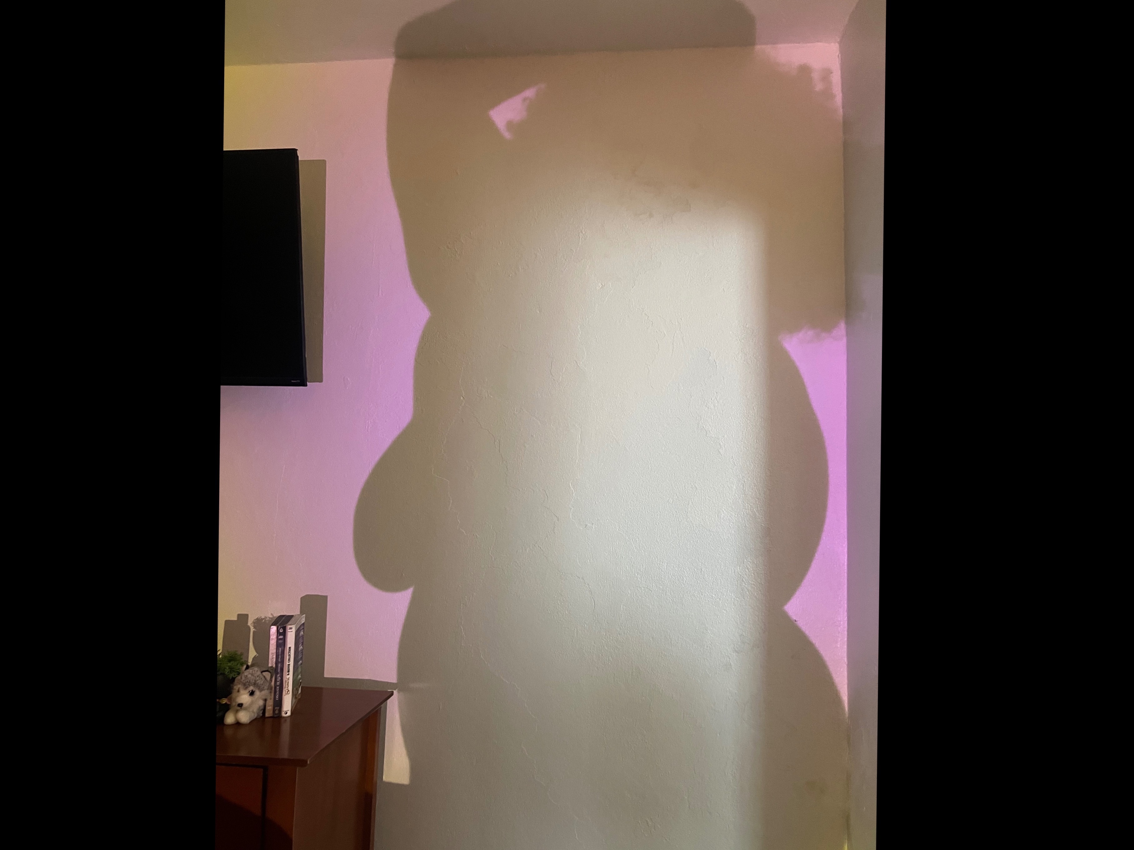 Tania M. Ayala cover image