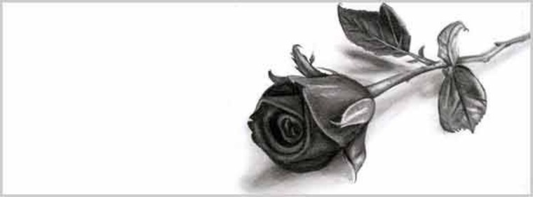 Tara banner image