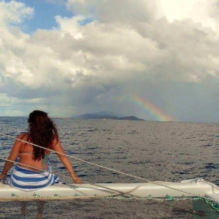 Tara hardy banner image