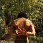 TarzanBoy avatar