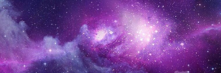 Tasha Rose banner image