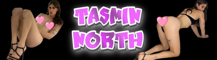 Tasmin North banner image