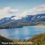 Tasmanian Treasures avatar