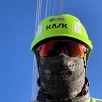Rex avatar