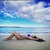 Tatiana Rodriguez avatar