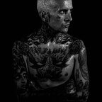 Tatman Quinn avatar
