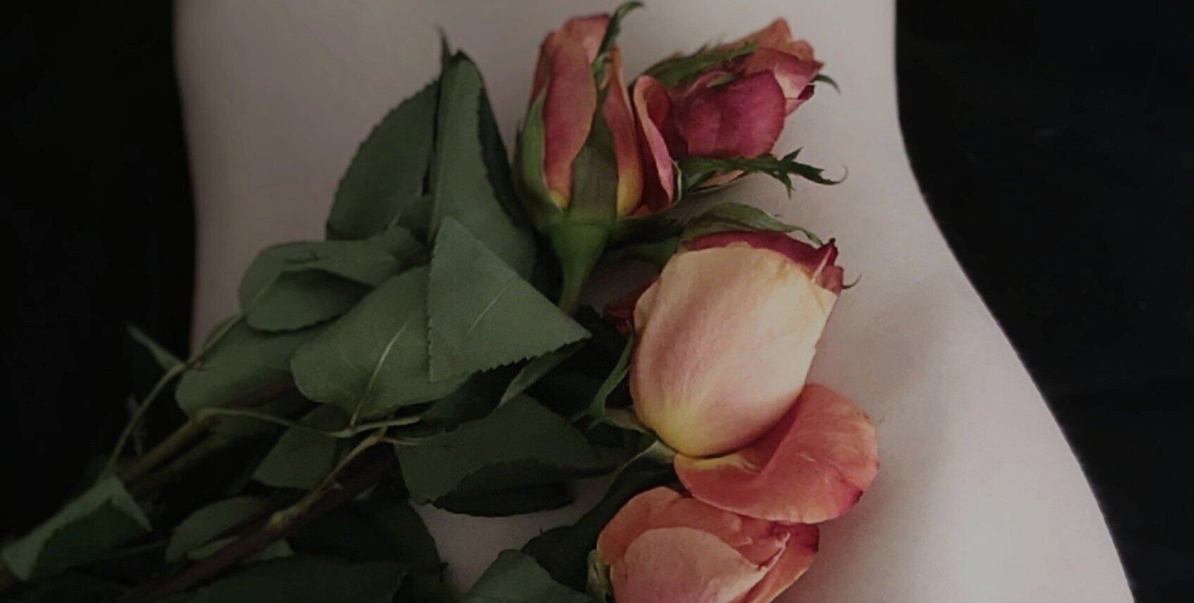 Nicole ♡ banner image
