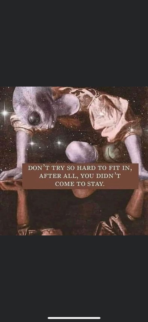 TattedDaddy cover image