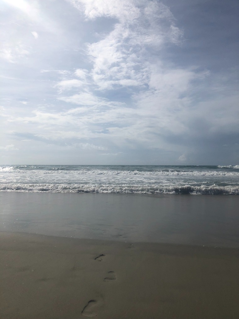 TattooedNature banner image