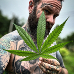 Tattooedandstoned avatar
