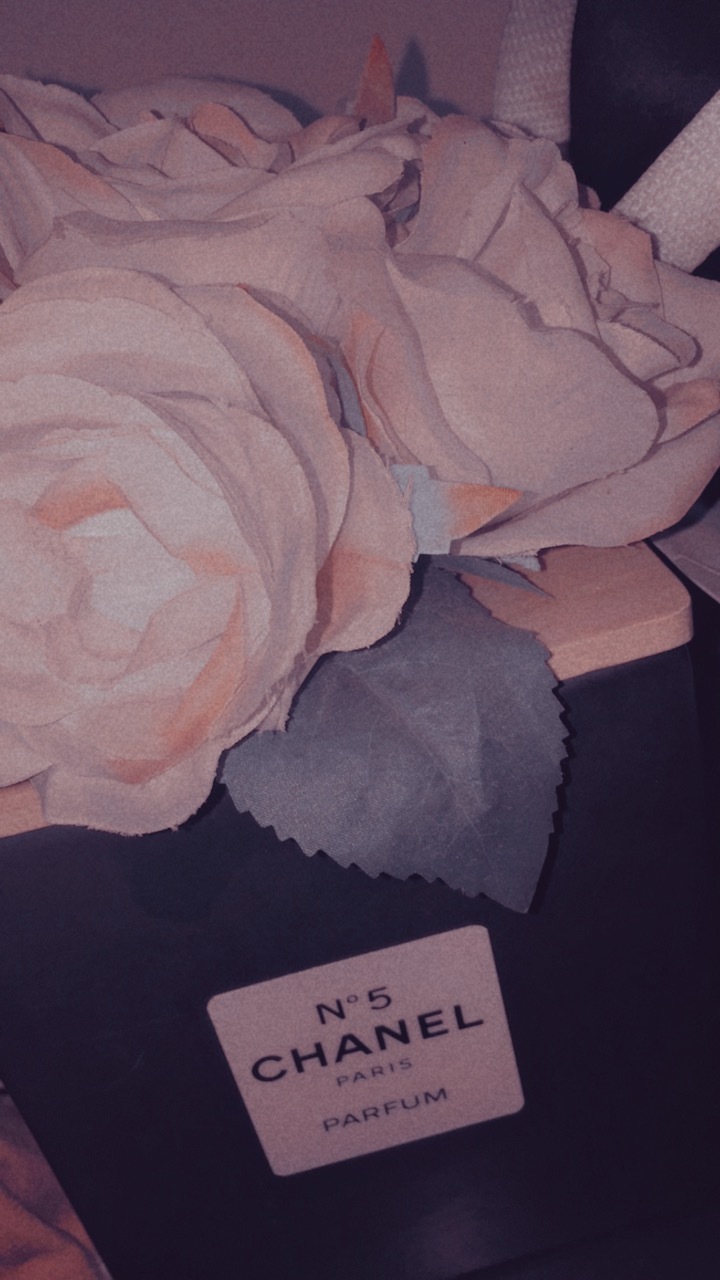 Badnbouj ❤️🔥REBOOTED banner image