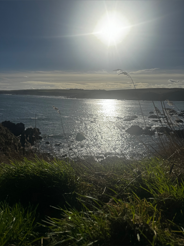 Tel cover image