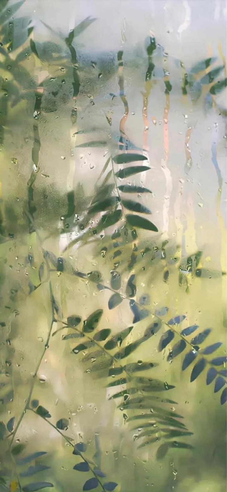 Molly cover image