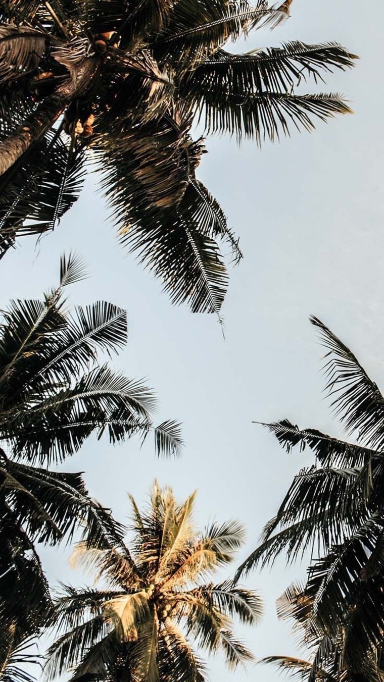 A cover image