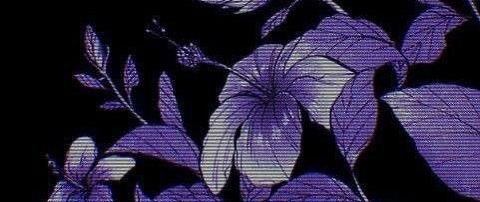 Tay banner image