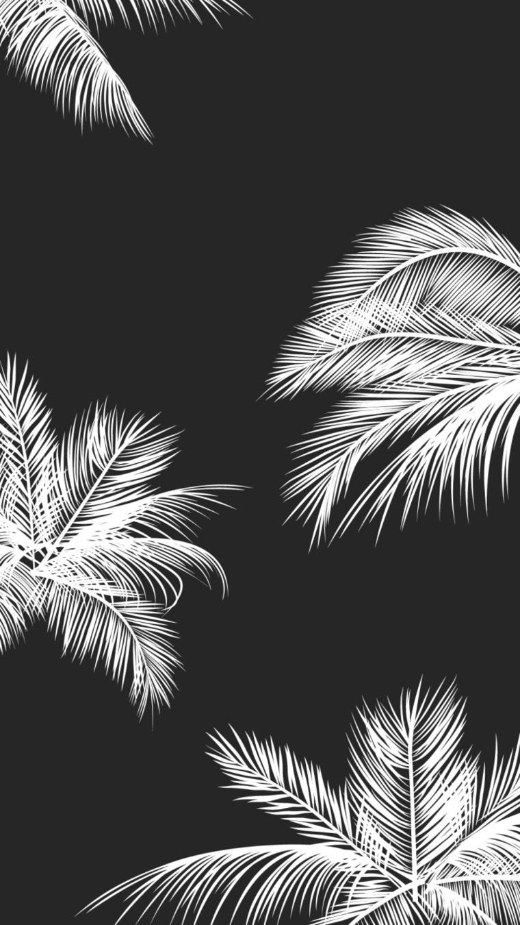 taylor π₯ banner image