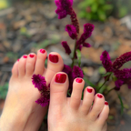 Teacher Toes - Nikita avatar