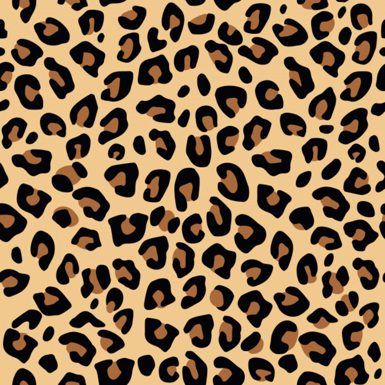 TealLeopard banner image