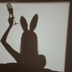 bunny avatar
