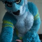 TechRoo and Zoomy avatar