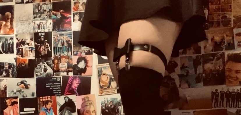 TeddyTush banner image