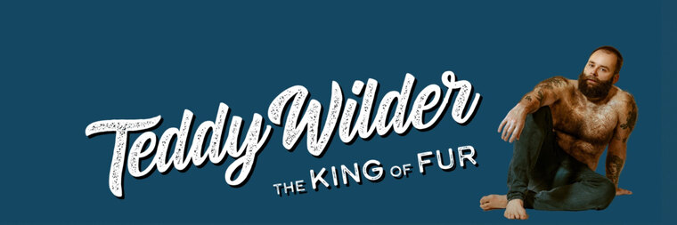 Teddy Wilder cover image