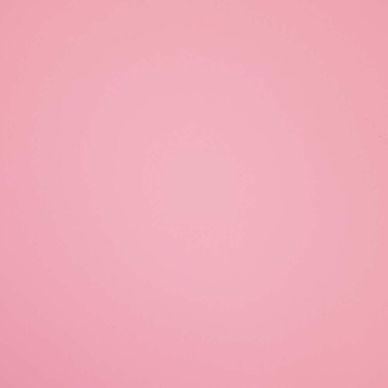 Teddy banner image