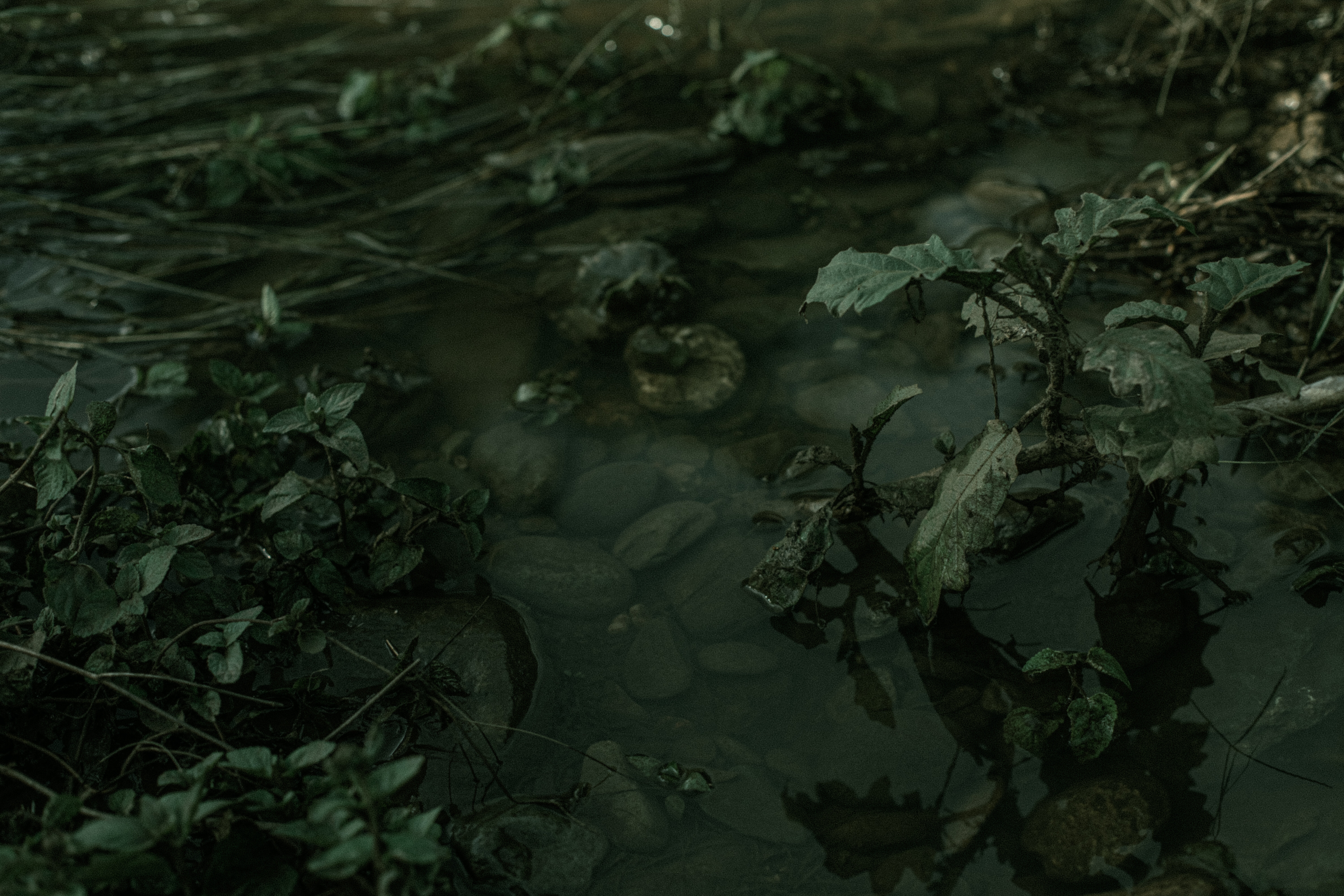 Tj banner image