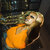 teeINHERBAG avatar