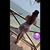 stefa avatar