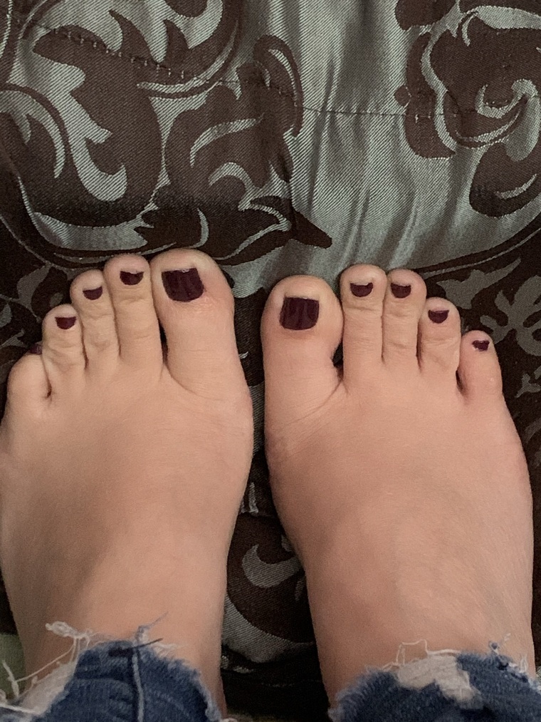 Ten Delicate Toes banner image
