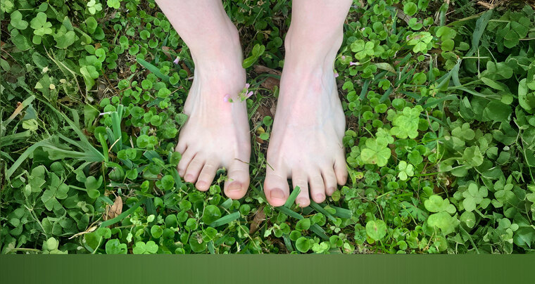 Tiny Toes cover image