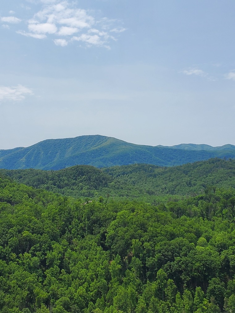 Tennessee Honey cover image